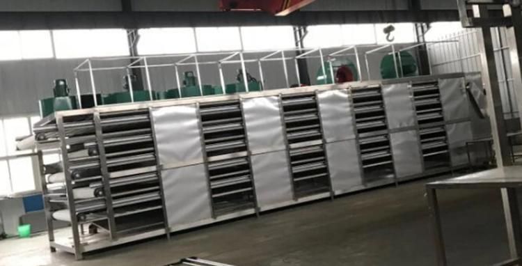 Automatic Customized Fruit Vegetable Ginger Garlic Onion Slice Drying Line