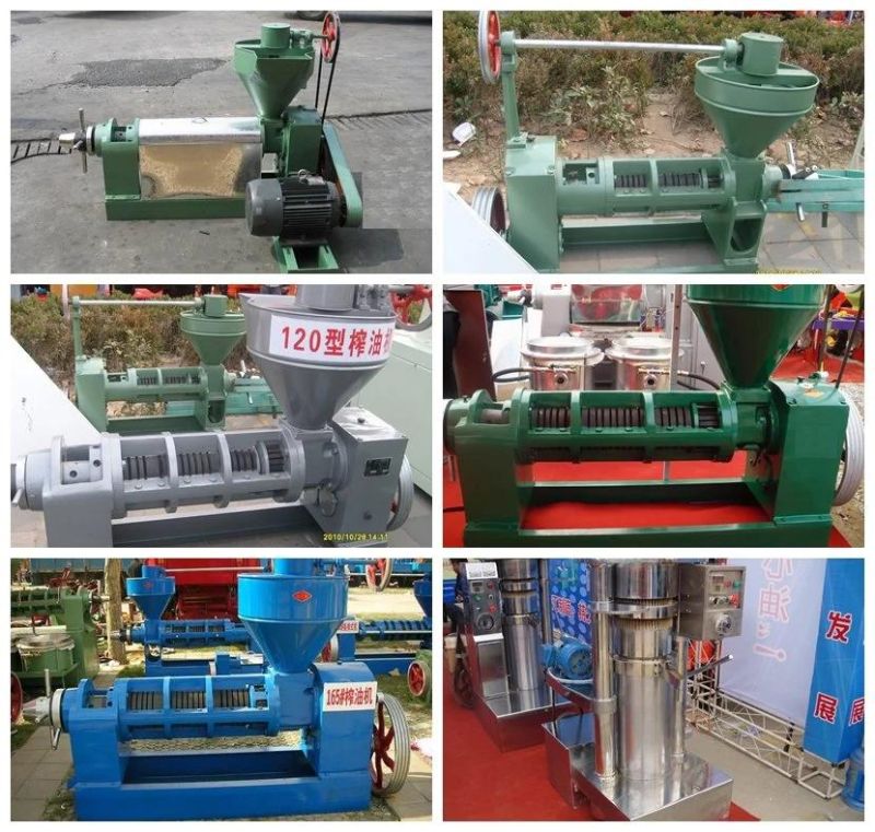 New Strong Gearbox 200kg/h Screw Oil Press machine