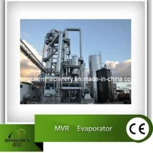 Brine Evaporator