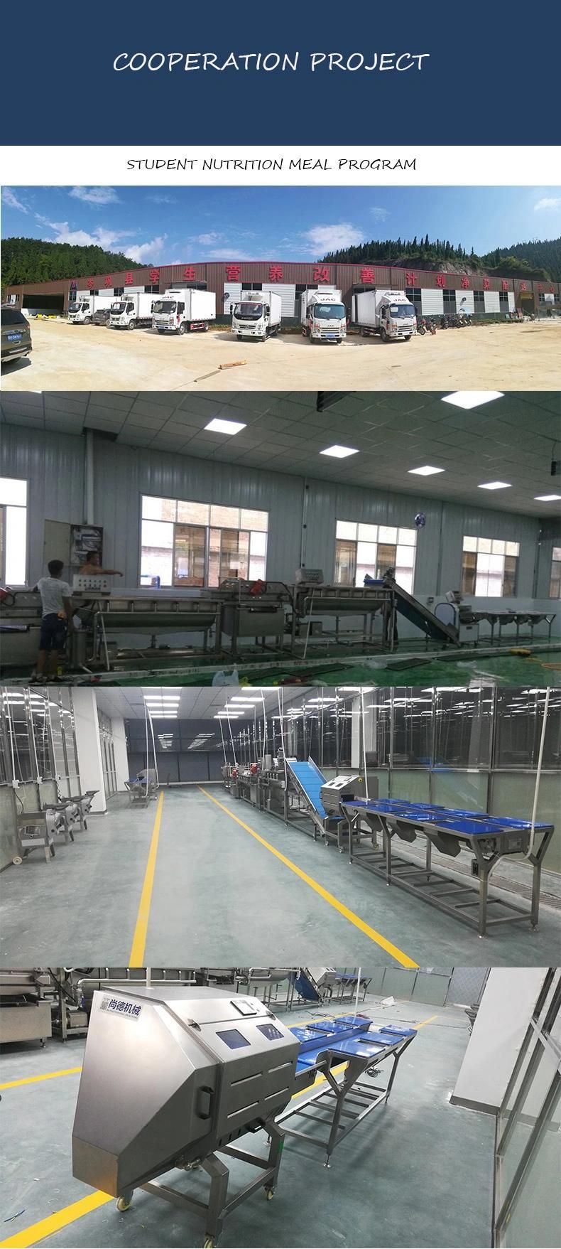 China Supplier Full Automatic Bubble Washer Machine for Fruits and Salad Leaf Vegetables Processing Production Line