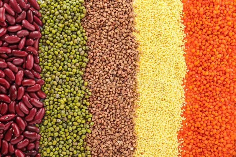 Industrial Microwave Okara Mung Bean Dehydrated Drying Stetilization Machine