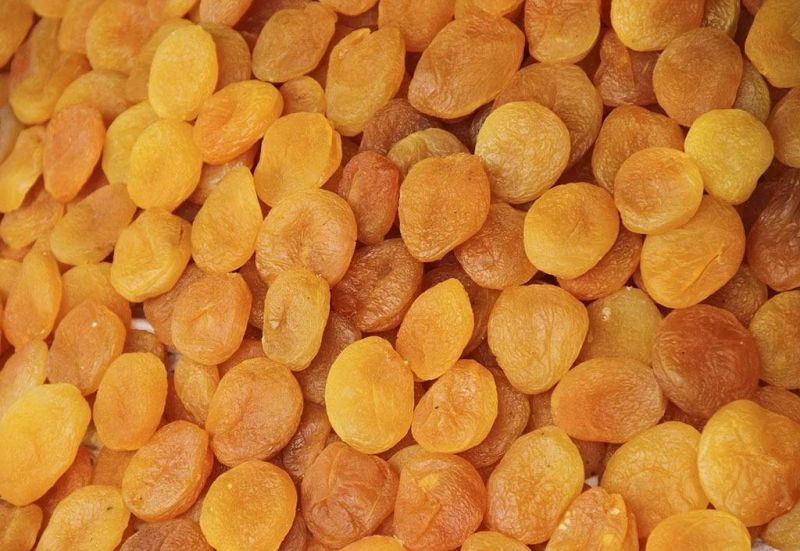 Cabinet Food Dehydrator Dried Apricot Fruit Drying Machine
