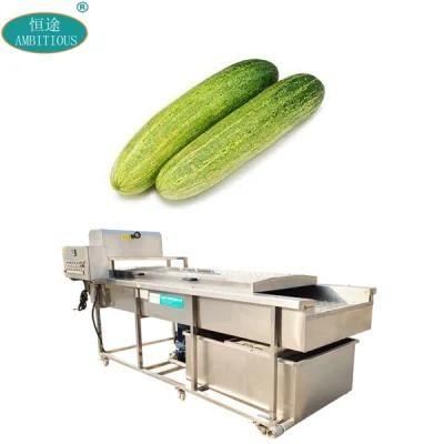 Brush Type Vegetable Wahser Cucumber Washing and Cleaning Machine
