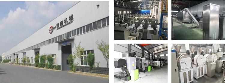 Artificial Rice Nutrition Rice Making Machine Frk Production Line