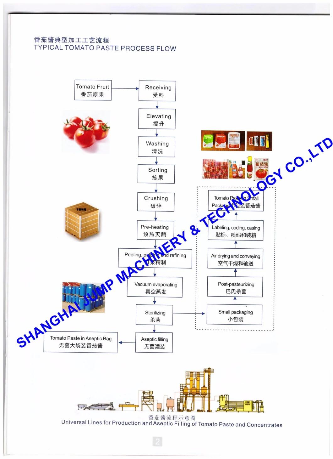 Fruit & Vegetable Processing Machine