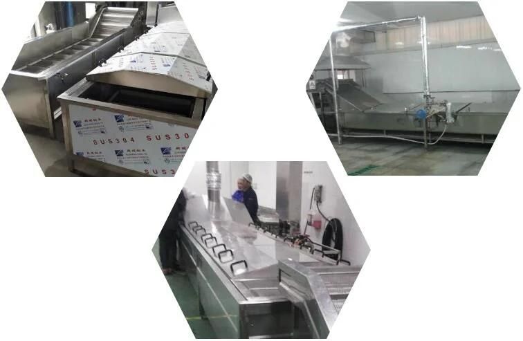 Blancher Conveyor Vegetables Boiler Cooking Machinery Industrial Mushroom Blanching Machine