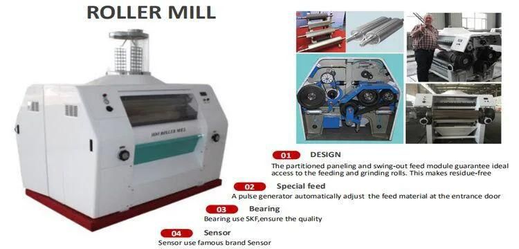 Maize Machine in Zambia Maize Flour Mill Plant