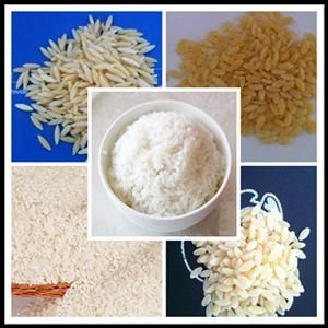 Artifical Rice Extruder Machine