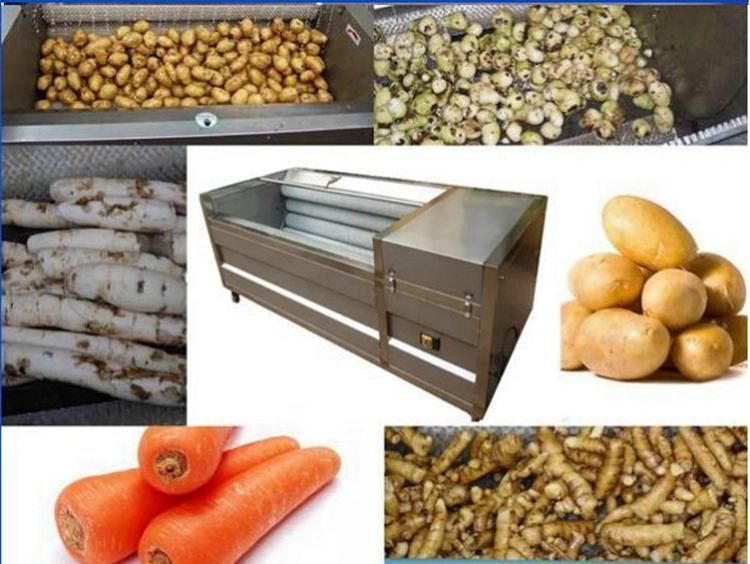 Stainless Steel Apple/Pear/Mango/Fruit/Vegetable Processing Equipment