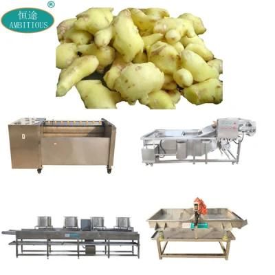 Ginger Processing Plant Ginger Peeling Washing and Drying Line Machine