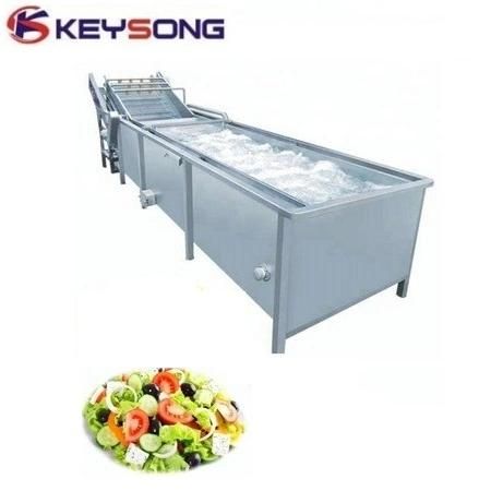 Fresh Fruit Vegetable Bubble Cleaning/Washing Machinery 380V