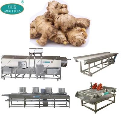 Ginger Cleaning Processing Plant Ginger Washing Machine