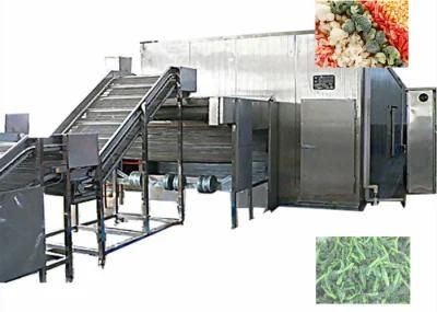 Stainless Steel Vegetable Fruit Quick Freezer Production Line