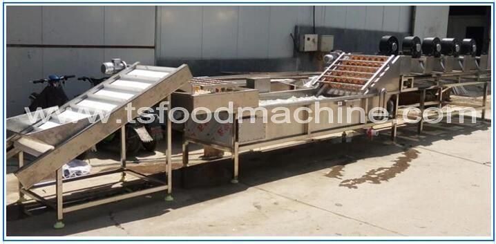 Automatic Vegetable Washing Machine with Pressure Washer for Vegetable Processing