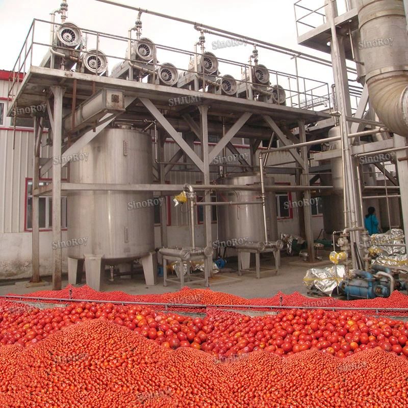 1-3 Tons Per Hour Tomato Sauce Puree Jam Paste Ketchup Processing Line/Tomato Paste Production Line Machines