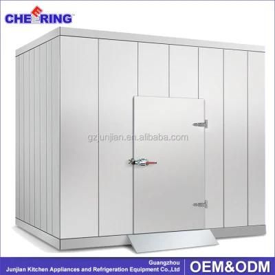 Cold Storage Room Freezer