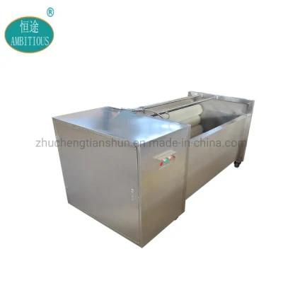 Automatic High Efficiency Potato Carrot Brush Washer Peeler Fish Cleaning Machine