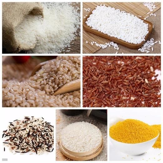 High Quality and Low Price Nutritional Rice Extrusion Machinery