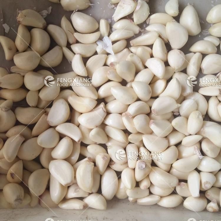 Automatic Shallot Garlic Clove Skin Removing Machine/Garlic Stripper