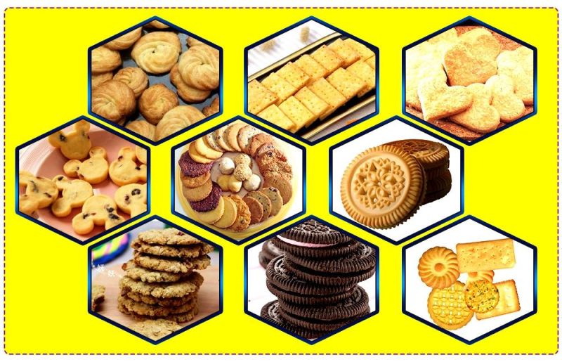 Industrial and High Quality Biscuit Making Machine with Good Price for Sale Vegetable Biscuit Making Machine