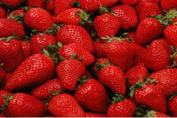 Automatic Fruits Cleaning Processing Machine Strawberry Washing Machine