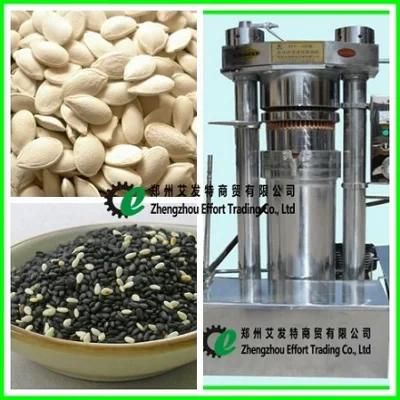 Stainless Steel Oil Press for Pumpkin Seeds