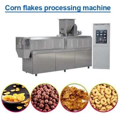 Corn Flakes Manufacturing Plant Cereal Breakfast Plant Factory Corn Flakes Factory