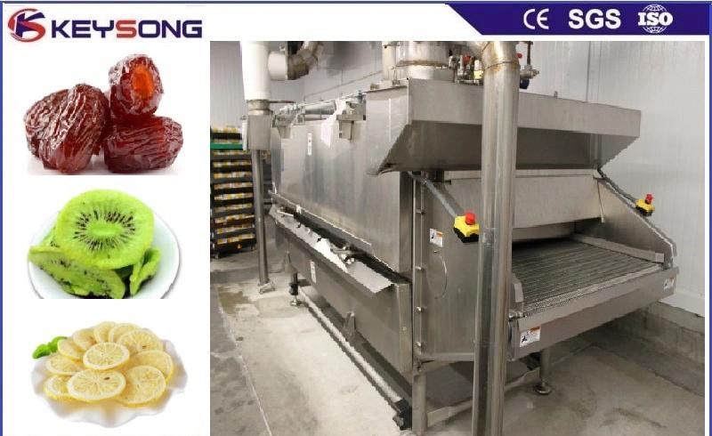 Tunnel Type Food Drying Equipment Dryer Fruits Vegetables Dehydrator