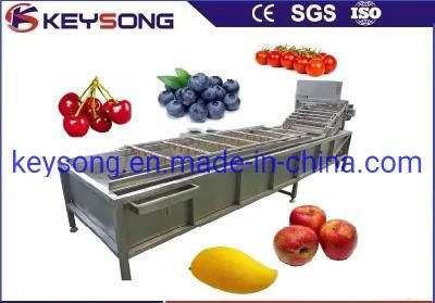 Top Quality Fruit Vegetable Cleaning Washing Machinery