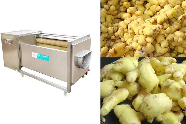Automatic Brush Wash Machinery Commercial Ginger Peeling Machine