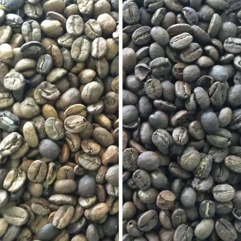 Coffee Bean Processing Machine Bean Separating Equipment Coffee Bean Color Sorting Machine Bean Color Sorter