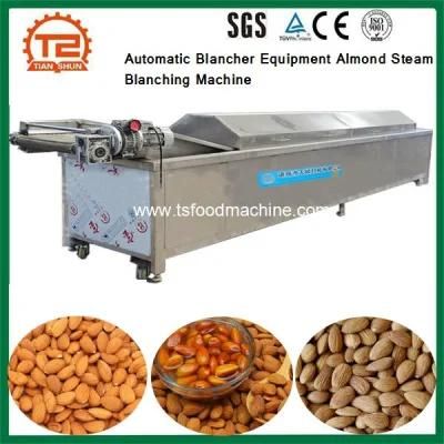 Automatic Blancher Equipment Almond Steam Blanching Machine