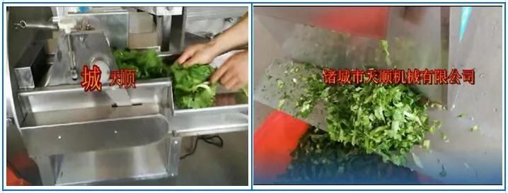 Factory Supply Leafy Vegetable Washer and Cutter Processing Machine