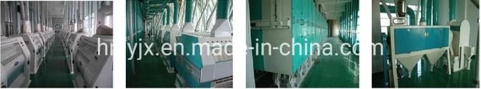 5000 Kg Per Hour Well Grinding Wheat Flour Milling Line