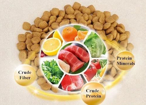 Manufacture Ce Certificated Small Dry Wet Pet Pellet Processing Automatic Dog Food Extruder