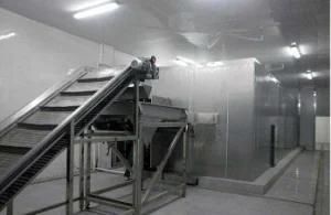 IQF Fludization Tunnel Quick Freezer/IQF Tunnel Freezer/Industrial Blast Tunnel Freezer ...