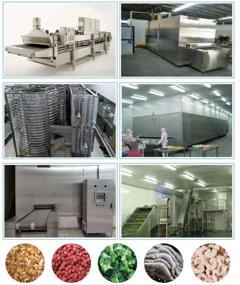 Professional Automatic IQF Tunnel Freezer Machine Individual Frozen Food Machinery