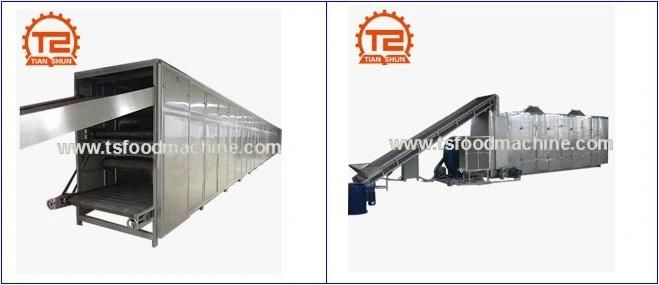 Fruit and Vegetable Dryer Mesh Belt Dryer