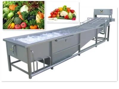 Electric Autimatic Vegetable Washing Machine