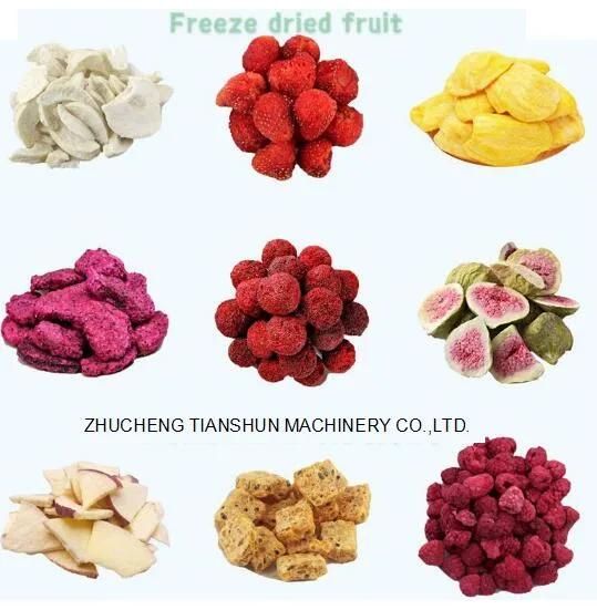 Vacuum Dried Fruit Freeze Dryer Fruit and Vegetable Strawberry Freeze Dryer