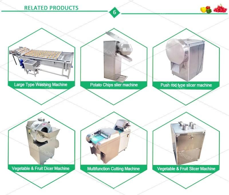 Widely Used Bubble Washing Machine for Yam Bean Bergamot Wax Apple (Welly)