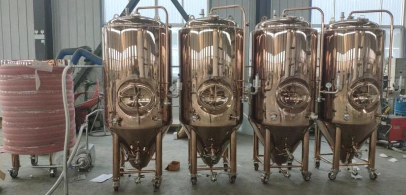 4bbl 5bbl 10bbl Stainless Steel Jacketed Double Layer Heat Preservation Fermentation Tanks ISO UL CE