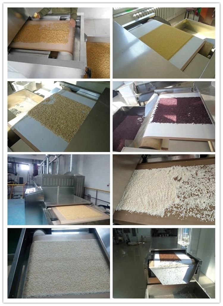 Melon Seeds Sunflower Seeds Pumpkin Seeds Microwave Baking and Drying Machine