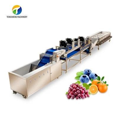 Citrus Apple Orange Passion Fruit Cleaning Air Drying Sorting Production Line Food ...