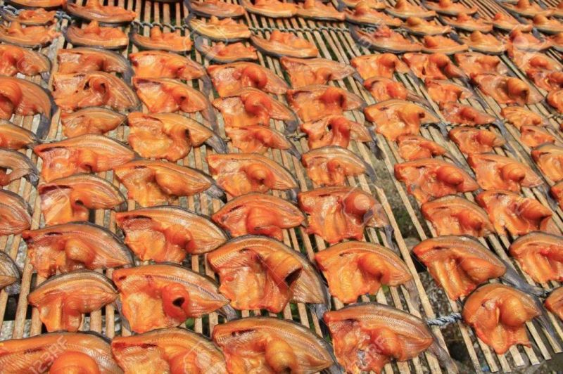 Seafood and Fish Drying Machinery Commercial Catfish Drying Machine