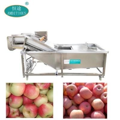 Apple Washer with Ozone Fruit Bubble Washer Machine Fruit Cleaning Machine
