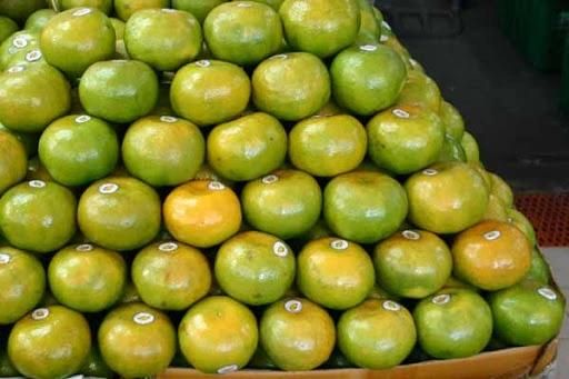 Commercial Citrus Brush Washing Machine Citrus Washer