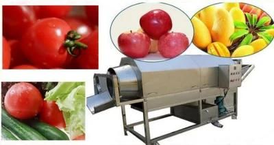 Low Price Industrial Vegetable Air Bubble Washing Plant for Tomato