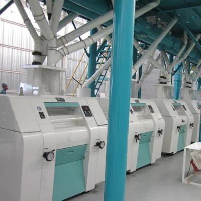 Sifter 50t/24h Maize Flour Milling Machine for Super White Maize Flour