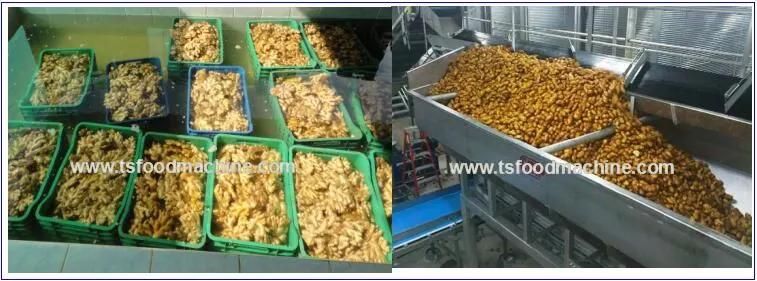 Potato Ginger Washer and Ginger Washing and Peeling Machine